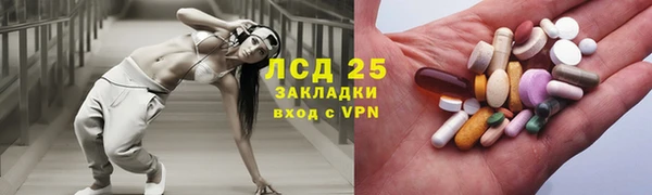 дмт Алзамай