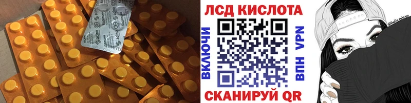 mega ссылка  Курчалой  ЛСД экстази ecstasy 