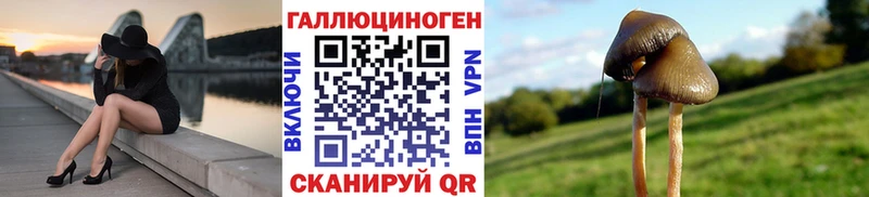 Галлюциногенные грибы MAGIC MUSHROOMS  наркошоп  Курчалой 
